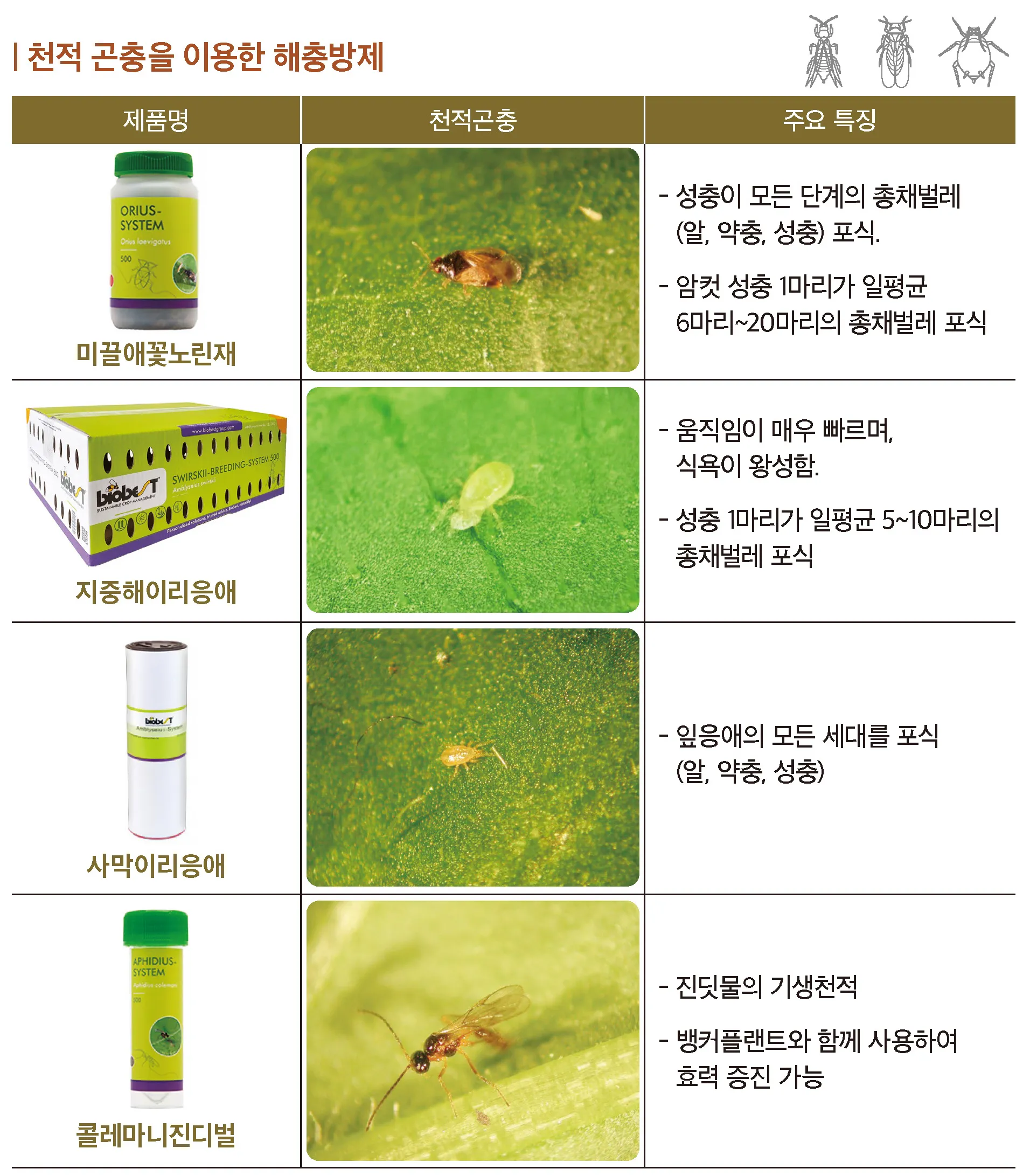 병해충 천적 활용 무당벌레 기생벌 끈끈이트랩 친환경 방제_1