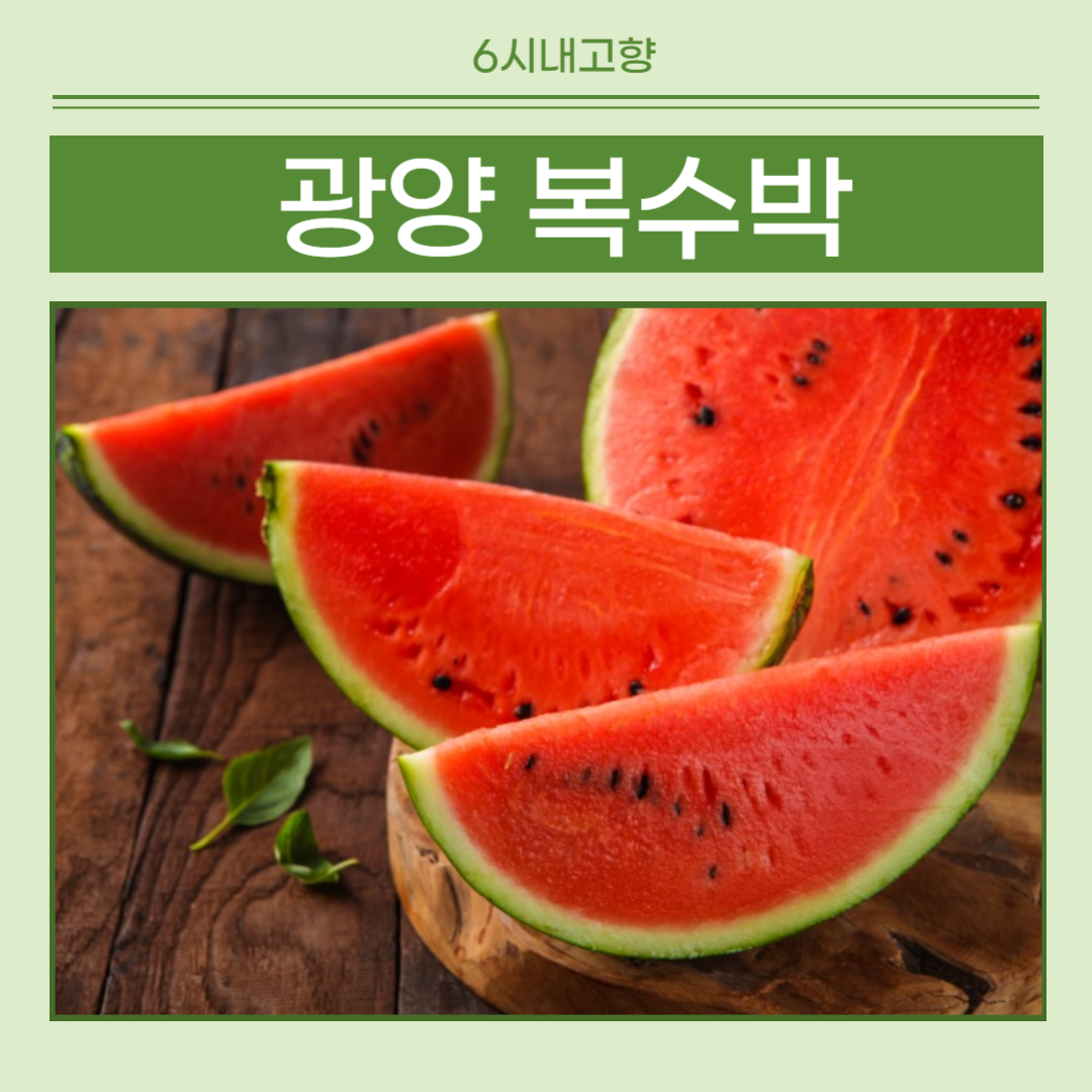 6시내고향 광양 복수박 썸네일