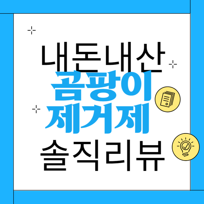 장마철 곰팡이 관리