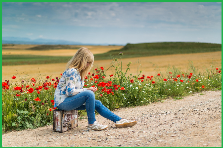 서울-벚꽃명소-즐길거리-추천