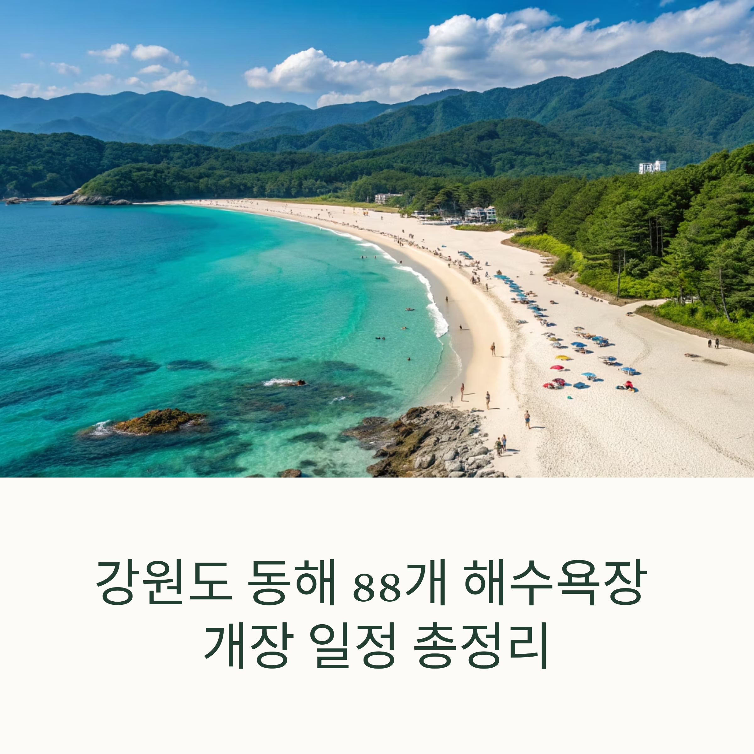 동해 88개 해수욕장 개장 일정