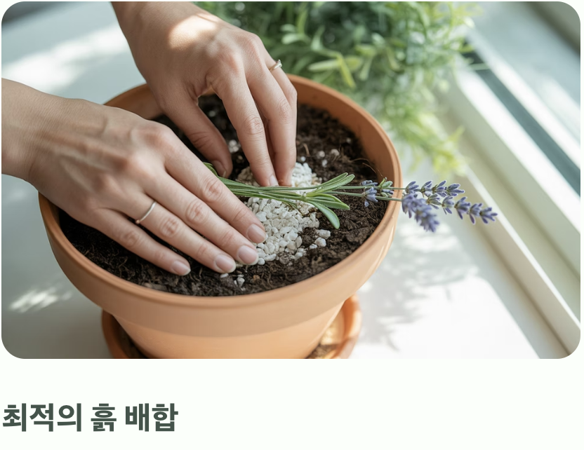 &amp;#39;마사토&amp;#39;를 섞어 흙에 숨통을