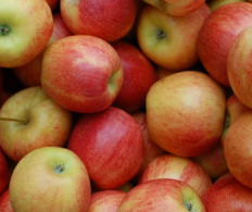 간에 좋은 영양제 및 음식 10가지 추천