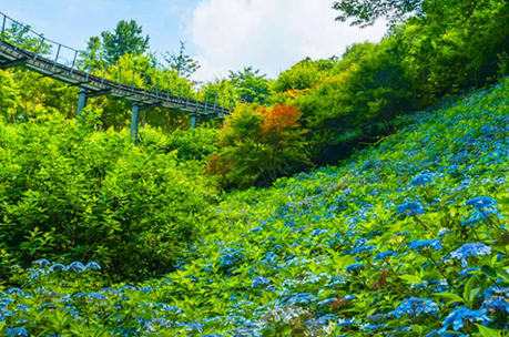 화담숲