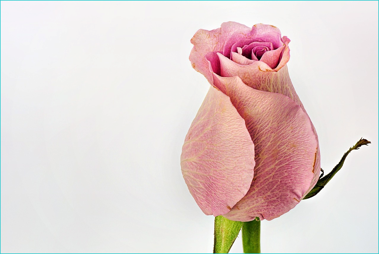 희망저축계좌2 신청방법