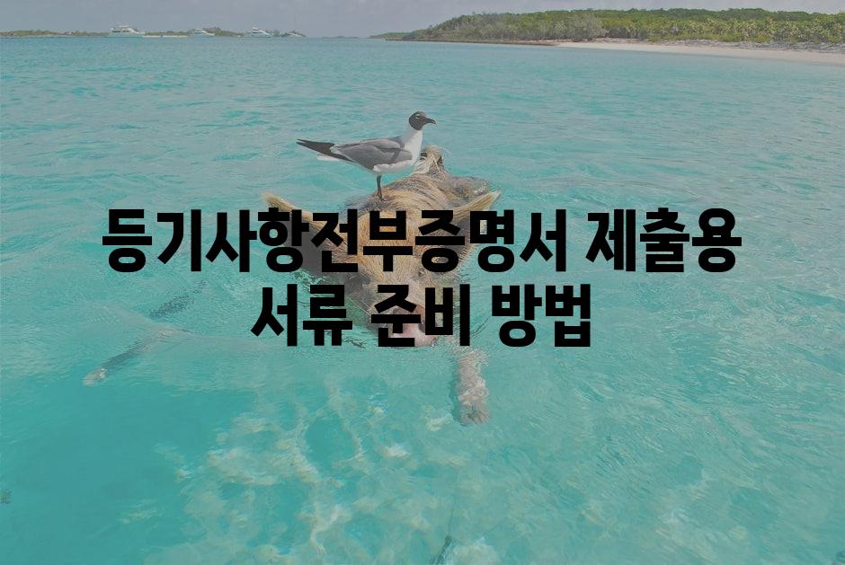 샘플 (1)
