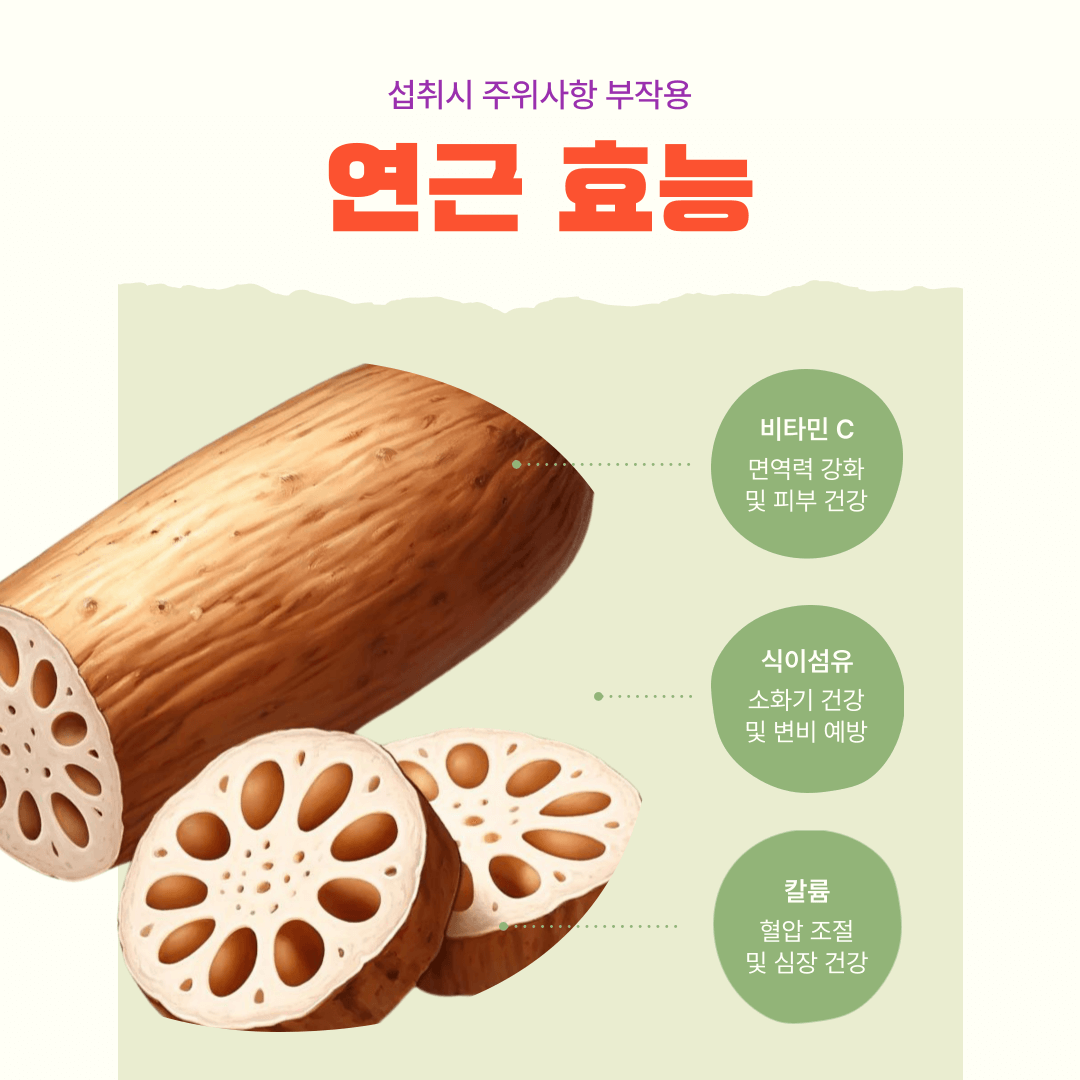 연근효능 부작용