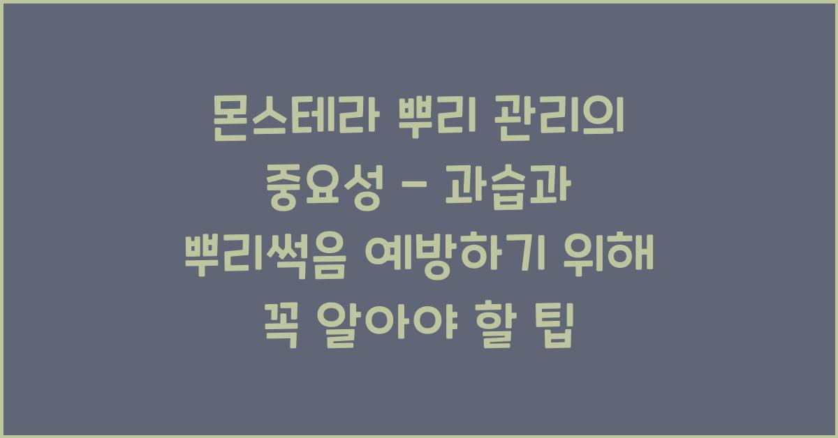 몬스테라 뿌리 관리의 중요성 - 과습과 뿌리썩음 예방하기