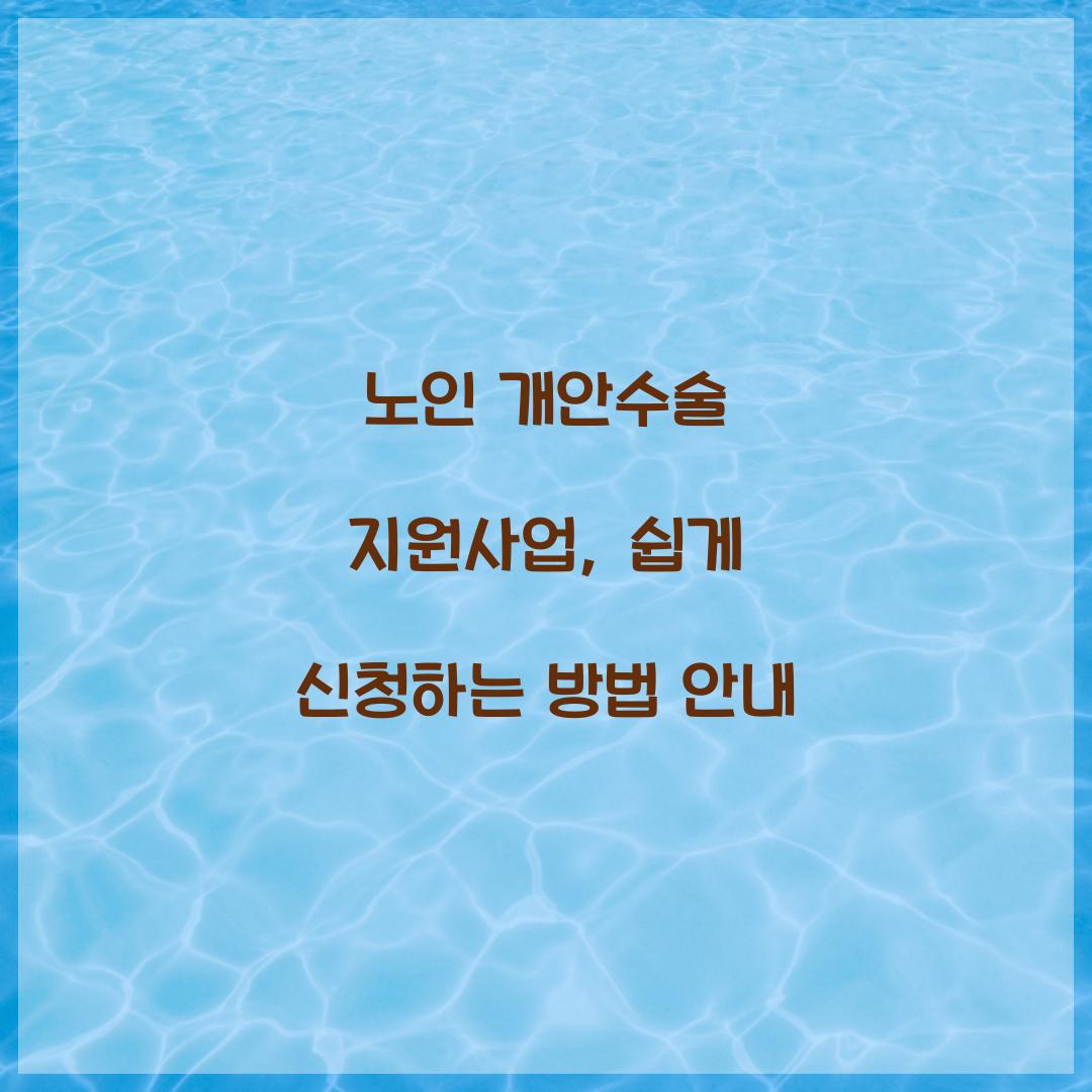 노인 개안수술 지원사업