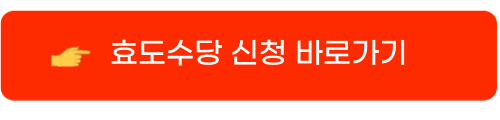 효도수당5