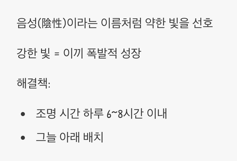 과한 빛, 축복 아닌 재앙