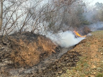 홍성 대전 산불