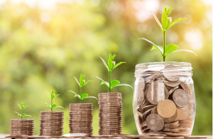 쌓여있는 동전위에 풀이 자라는 사진