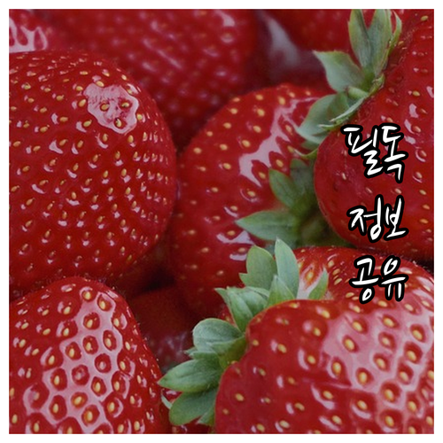 동해시 터미널 주차 2025 면제 감..