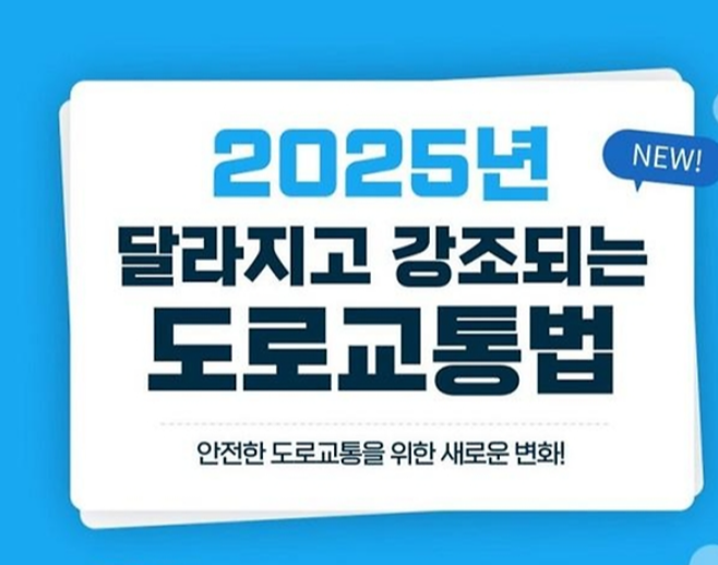2025 신호위반 범칙금 및 과태료