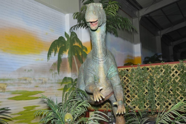 덕평 공룡수목원