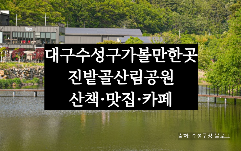 대구 수성구 가볼만한 곳, 진밭골산림공원 샤스타데이지 산책·맛집·카페 총정리