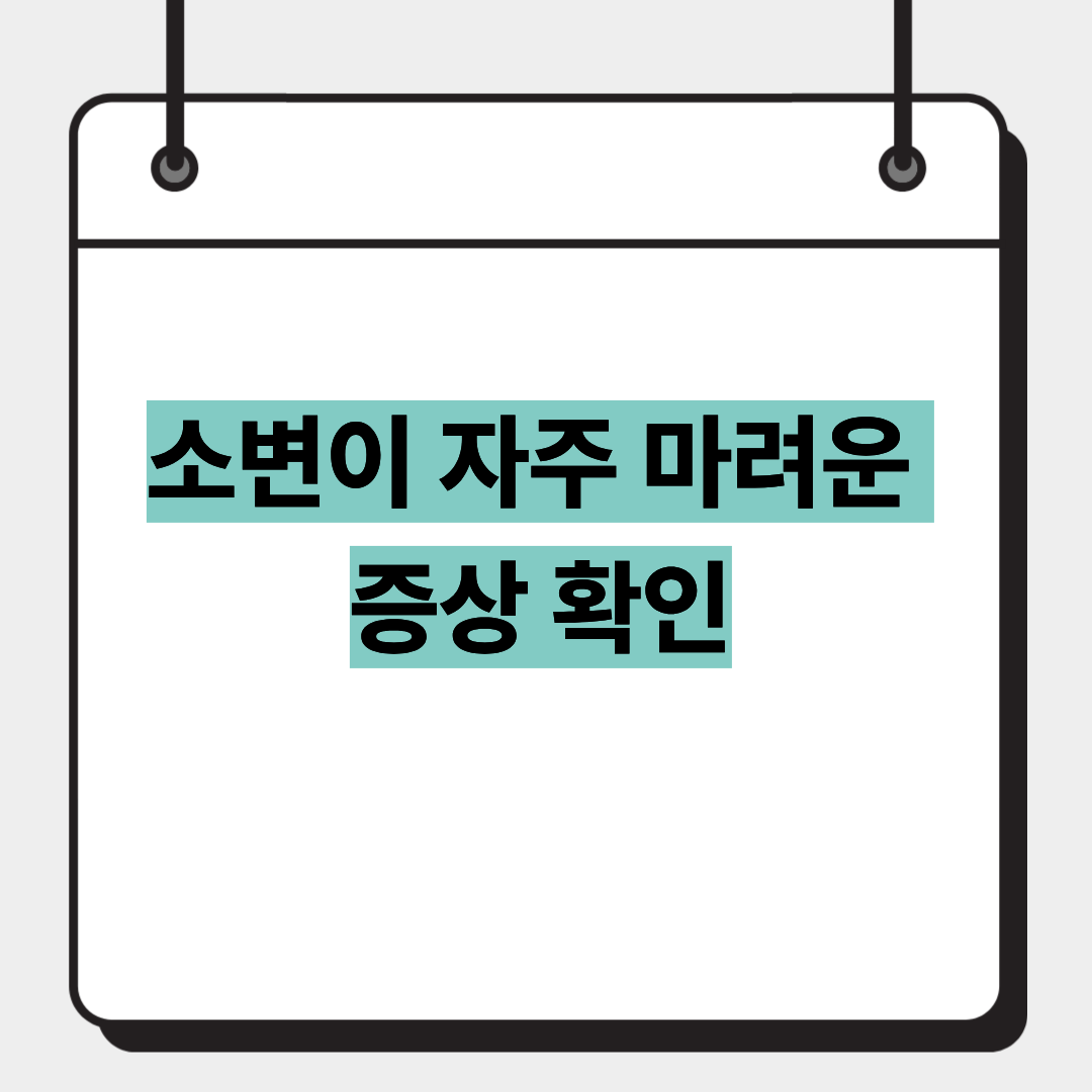 소변이 자주 마려운 증상 확인 1