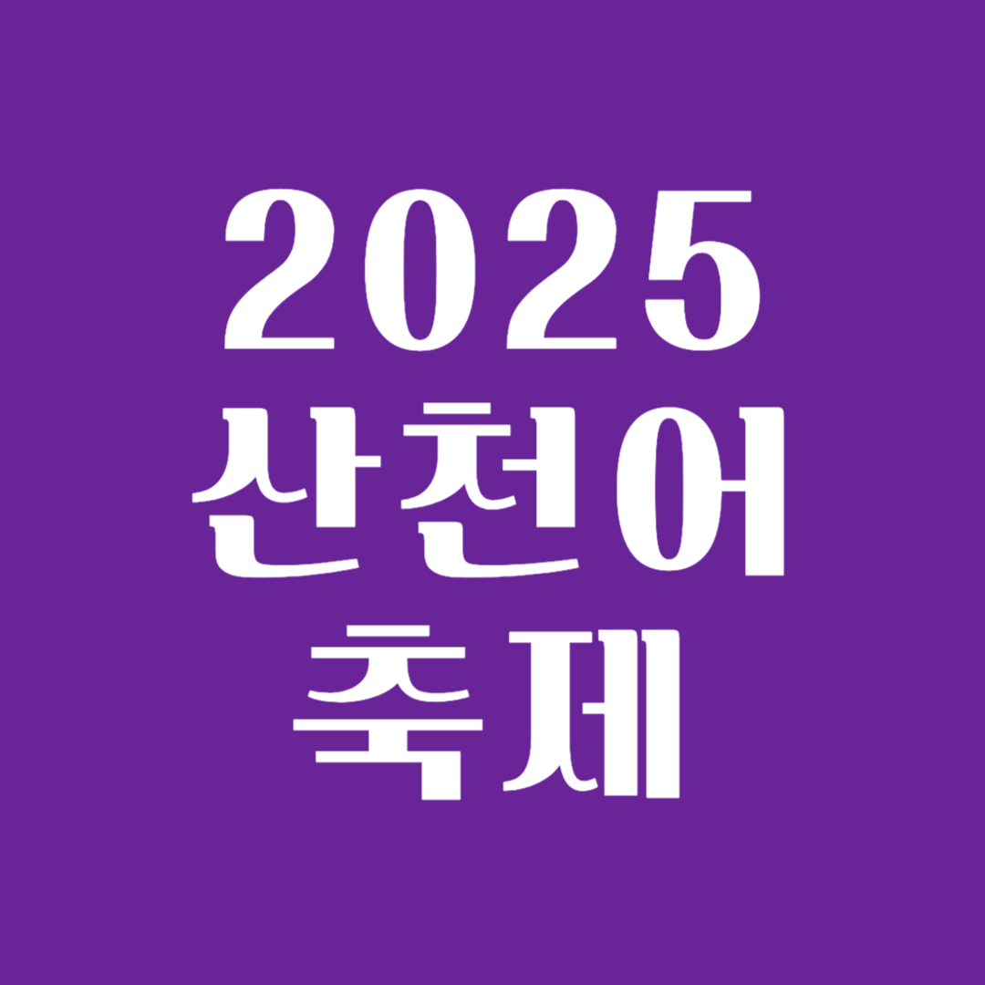 2025 얼음나라 화천 산천어축제 일정 및 입장료 총정리