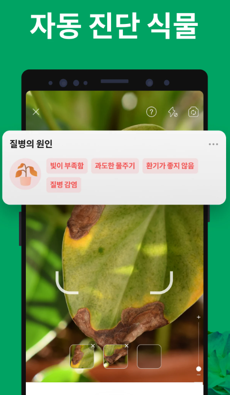 꽃검색4