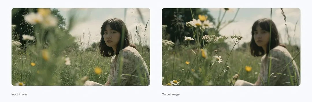 피사계 심도 조절 이미지