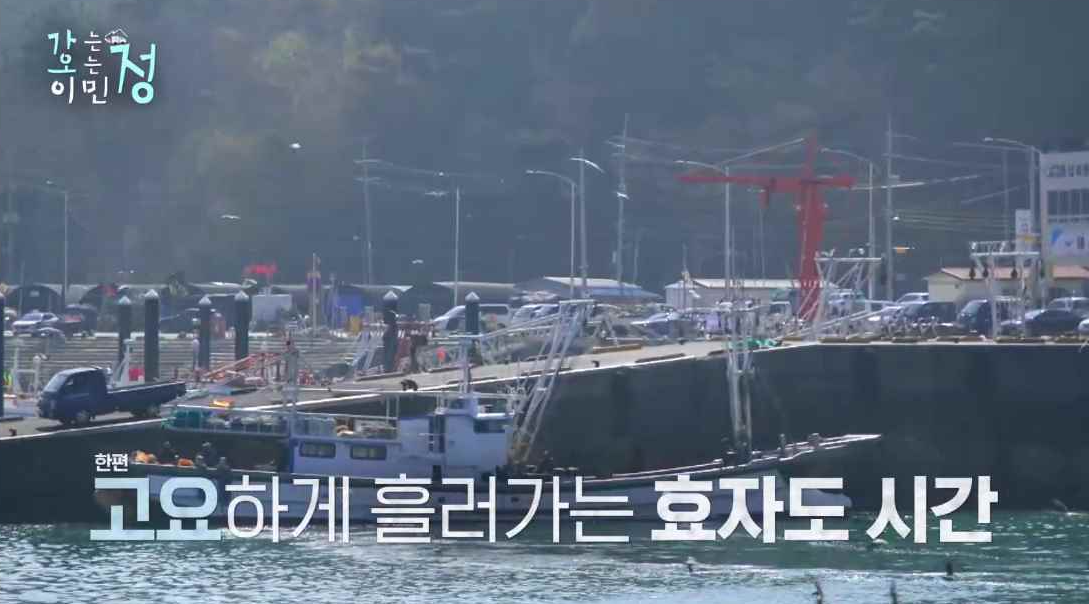 효자도 항구에 배들이 입항 해 있는 모습 사진