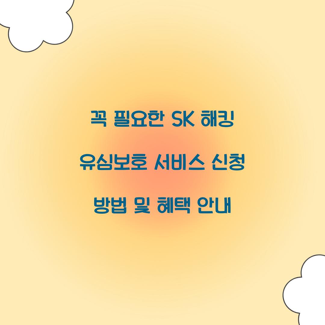 꼭 필요한 SK 해킹 유심보호 서비스