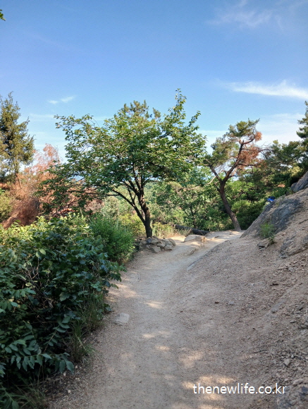 숲속 산길 등산로, 뱃살 빼는 운동으로 추천되는 유산소 운동 장소