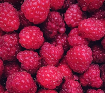 당뇨 식단 레시피 좋은 나쁜 음식