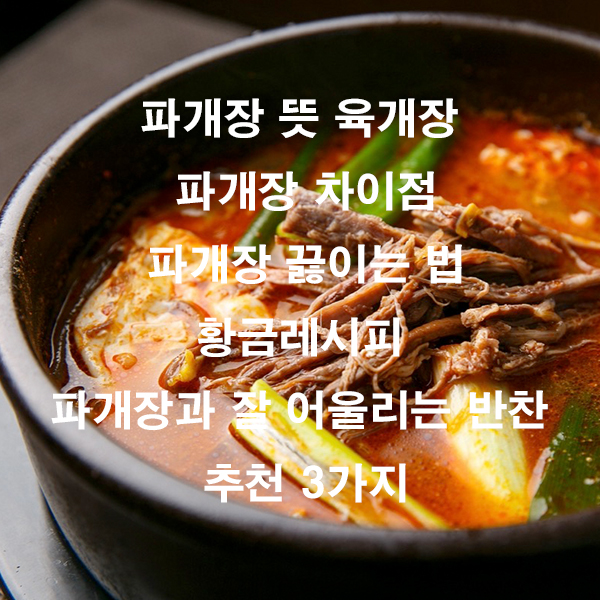 파개장 뜻 육개장 파개장 차이점 파개장 끓이는 법 황금레시피 파개장과 잘 어울리는 반찬 추천 3가지