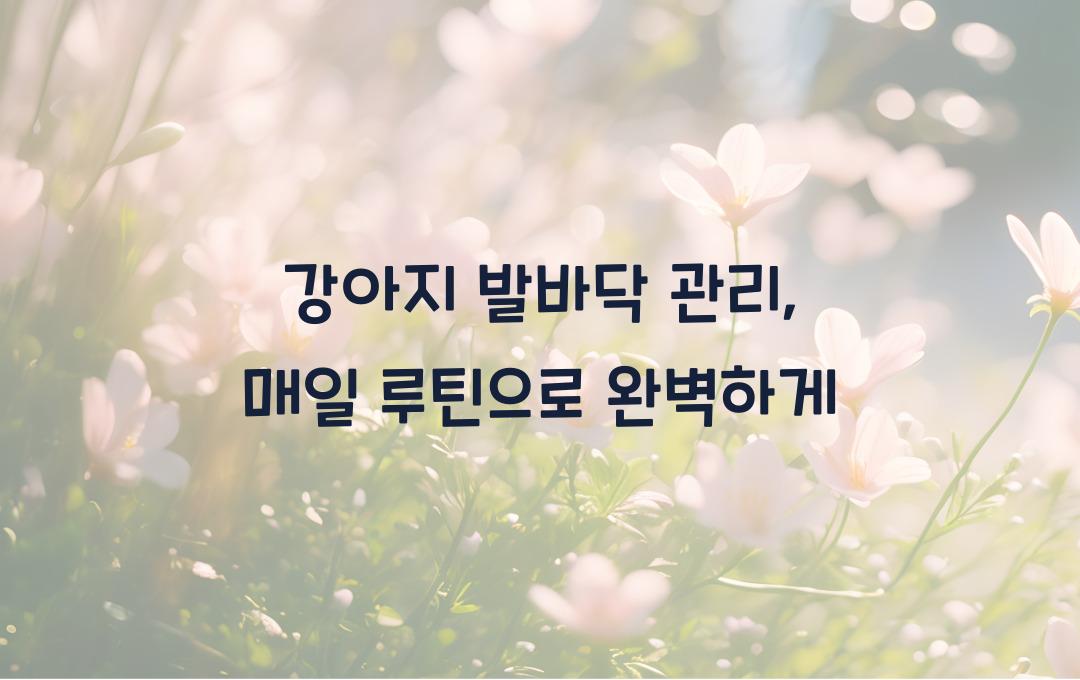 강아지 발바닥 관리, 매일 해야 할 루틴