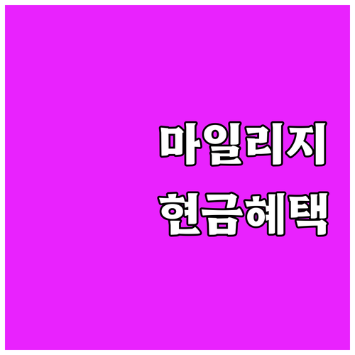 2025 서울시 승용차 마일리지 제도..