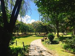 2024 별 헤는 서울숲 프로그램