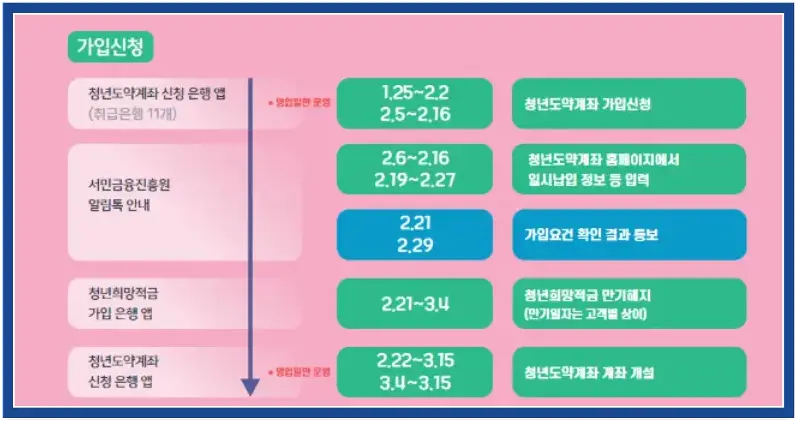 청년도약 계좌-
파란테두리 안 분홍바탕 위에서 부터 아래로 청년도약계좌순서가 나와있는 모식도