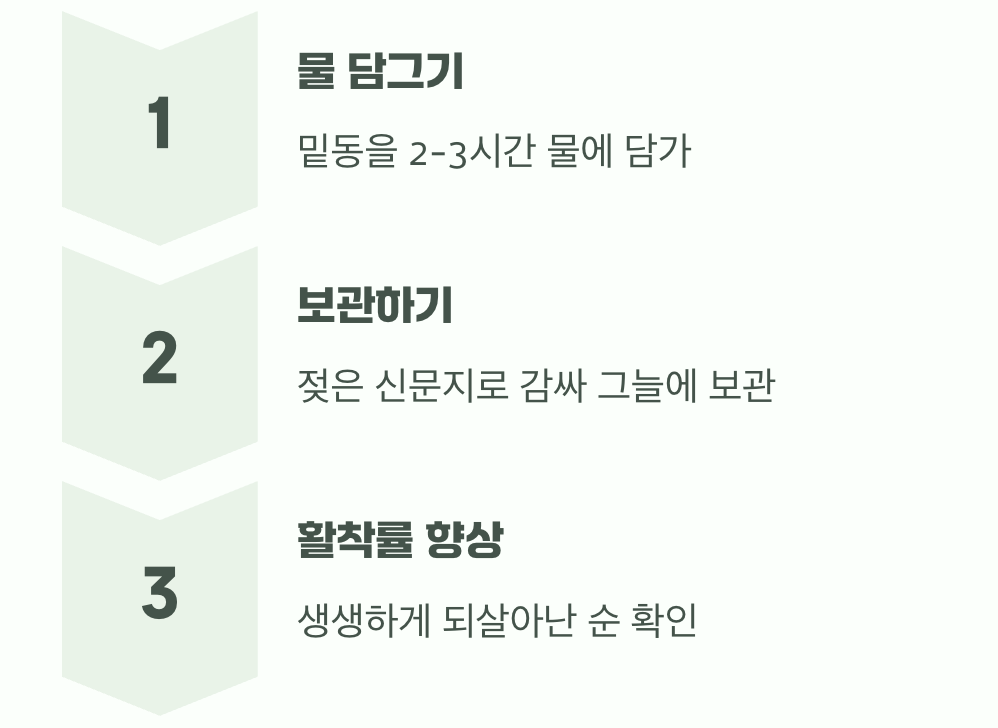 고구마순&amp;#44; 심기 전 &amp;#39;물올림&amp;#39;의 중요성