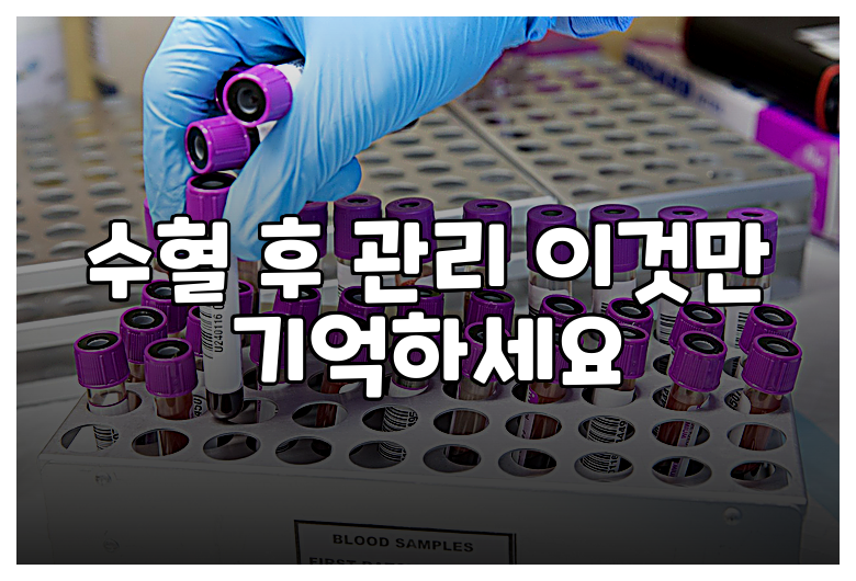 수혈 후 관리 이것만 기억하세요