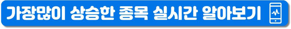 상승종목