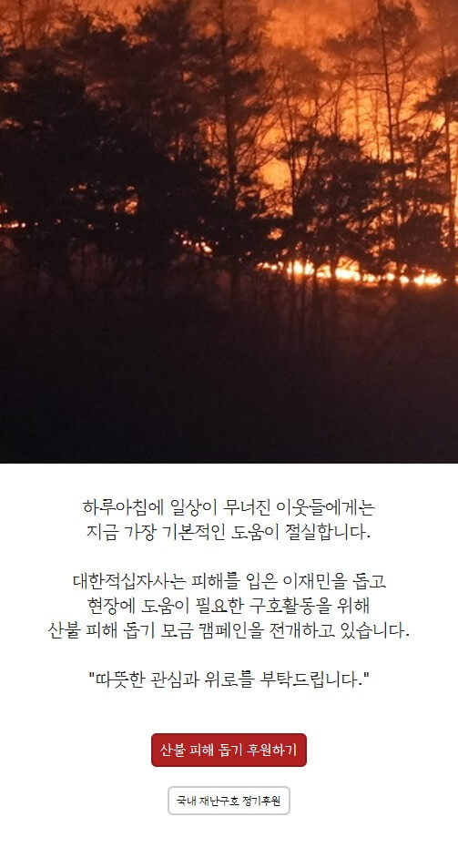 산불 대한적십자사 기부 방법