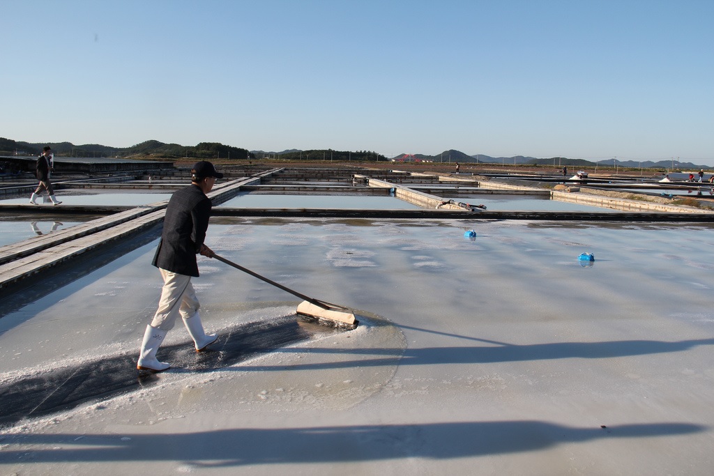 천혜의 자연이 빚어낸 보물, 태평염전의 모든 것 - 소금의 역사와 미래를 만나다