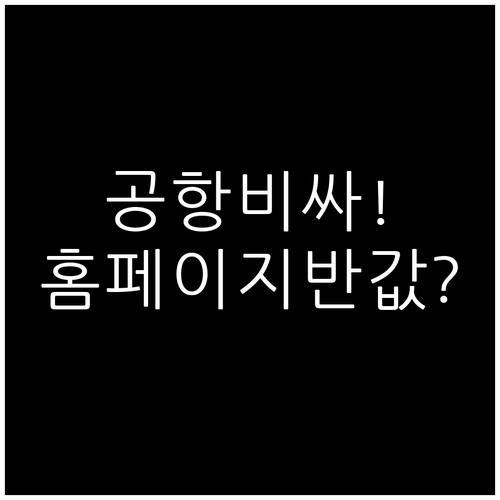이스타항공 초과 수하물 요금, 공항보..