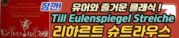 리하르트 슈트라우스