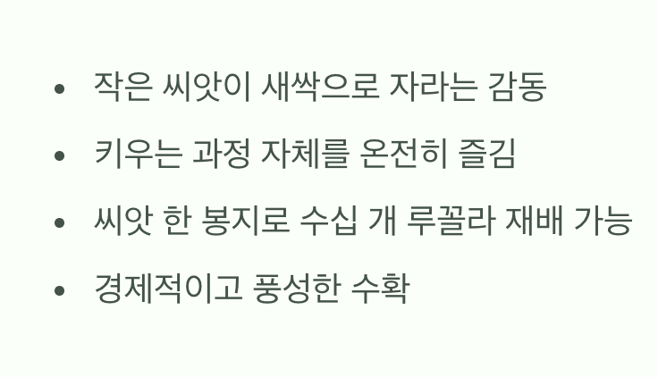 씨앗 파종, 키우는 재미와 풍성한 수확