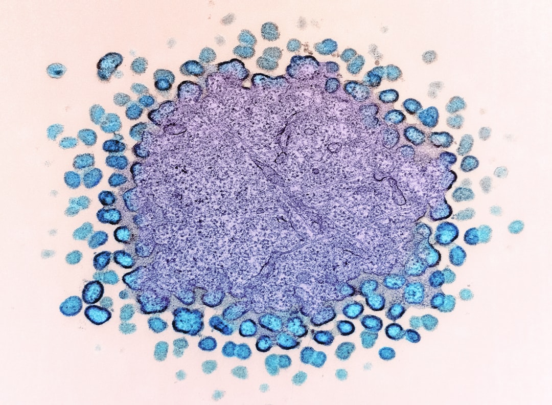 Hepatocyte