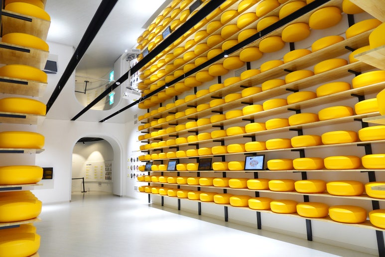 임실N치즈축제 치즈 센터