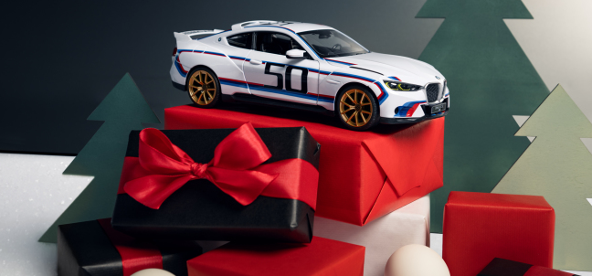 BMW 차량