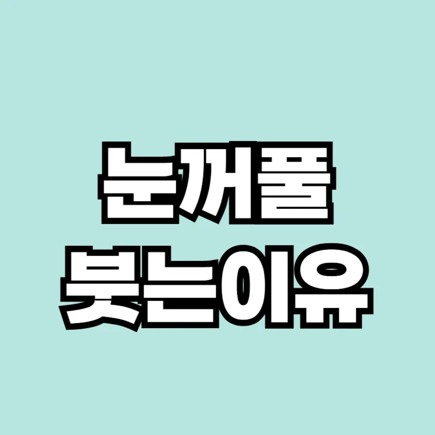 눈꺼풀이 붓는 이유