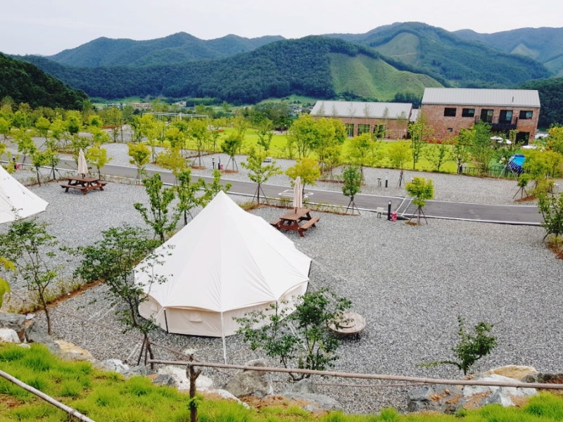 홍천군 세이지힐 오토캠핑장 소개