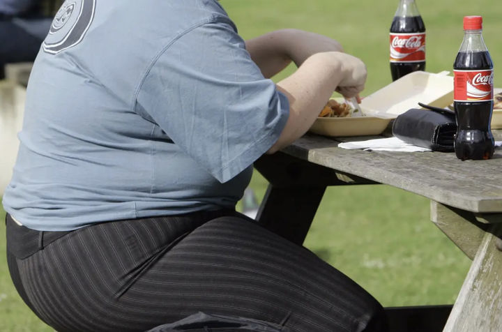 성인 비만율 30% 증가 현실적인 다이어트 방법