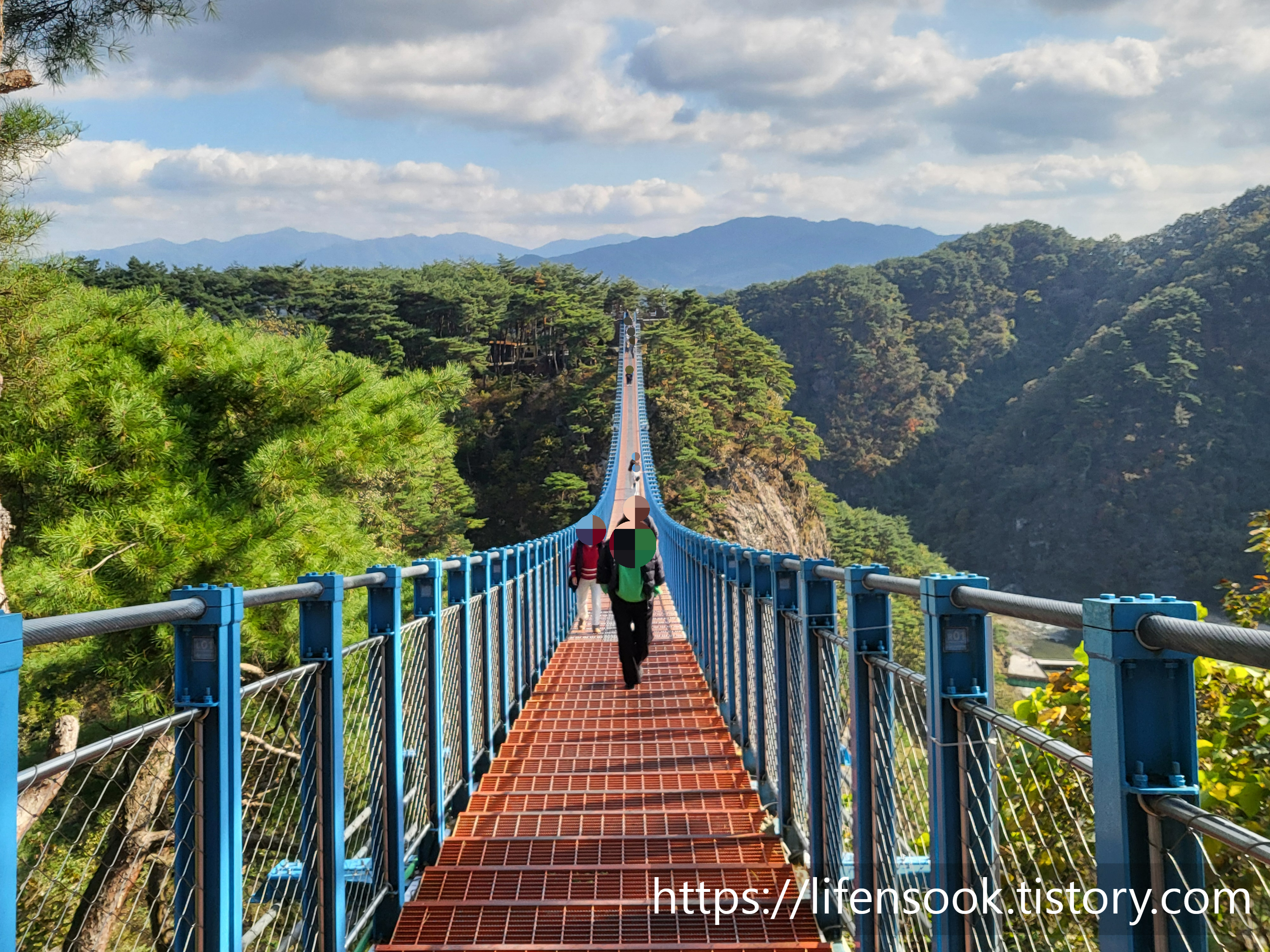 소금산 출렁다리 3