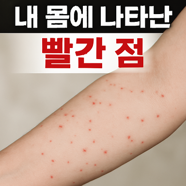 몸에 생기는 빨간점, 혹시 내 건강 적신호? 붉은 반점의 5가지 원인과 특징